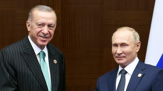 Gasversorgung: Warum Putins Angebot an Erdogan zur Luftnummer werden könnte