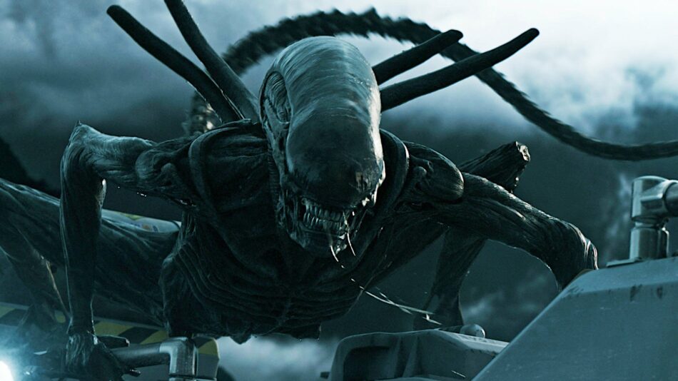 Neuer „Alien“-Film von Horror-Spezialist geht voran: Sie soll die Hauptdarstellerin werden