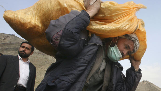 Bericht der UN: Mehr Opiumanbau seit Machtübernahme der Taliban
