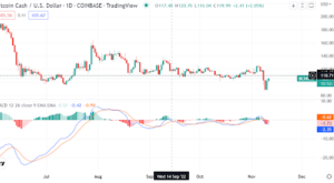 Bitcoin Cash invalidates a potential bullish reversal zone. Should buyers be optimistic?