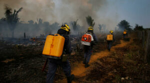 Brasilien: Schwerste Brände im Amazonasgebiet seit über zehn Jahren