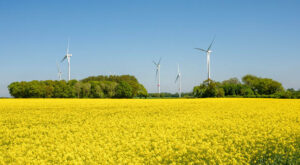 Energie: Verfassungsgericht: Länder können Windräder im Wald nicht pauschal verbieten