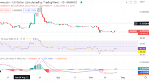 How bullish is RavenCoin after the Binance news?