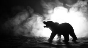 Bärenmarkt unter der Lupe: Ist die Talsohle erreicht? Was für und was gegen eine Bodenbildung bei Aktien spricht