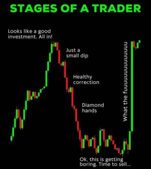 Stay bullish frens