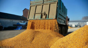 Ukraine-Krieg: Ukrainischer Getreideexport läuft weiter – Abkommen mit Russland um 120 Tage verlängert