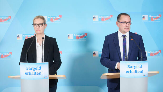 Extremismus: Verfassungsschutz-Präsident sieht AfD auf dem Weg nach rechtsaußen