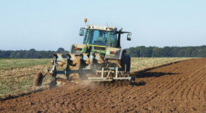 Nahrungsmittelpreise: Erzeugerpreise landwirtschaftlicher Produkte steigen langsamer