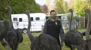 Animal Control: Weasels and Ostriches - Review der Pilotepisode