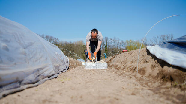 Landwirtschaft: Gewerkschaften kritisieren schlechte Arbeitsbedingungen für Saisonarbeiter – und fordern mehr Kontrollen