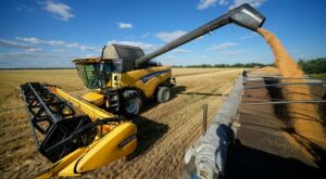 Ukraine-Krieg: Begrenzte Solidarität: Osteuropas Bauern begehren gegen ukrainische Getreideimporte auf