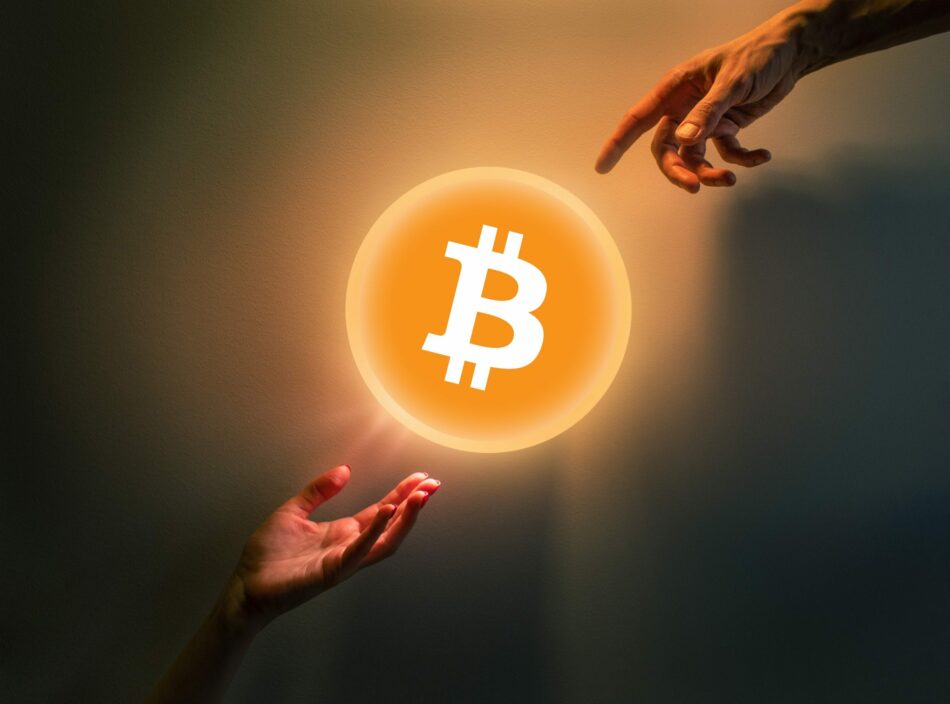 Vom Krypto-Noob zum Bitcoin-Profi-Hodler in 5 Schritten