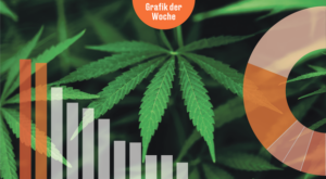 Infografik der Woche: Wie weit soll die Cannabis-Freigabe gehen?