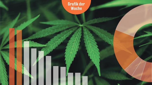 Infografik der Woche: Wie weit soll die Cannabis-Freigabe gehen?