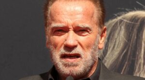 Arnold Schwarzenegger beschimpft Regisseur: Darum bekommt einer seiner besten Filme keine Fortsetzung