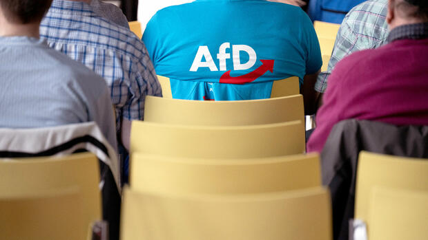 Alternative für Deutschland: Ökonomen warnen vor Folgen des AfD-Umfragehochs