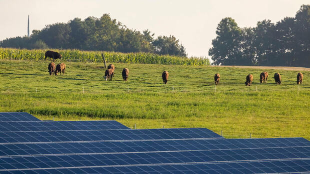 Erneuerbare Energien: Strom vom Kartoffelacker: Energiebranche sieht hohes Potenzial bei Agri-PV