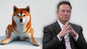 Tesla's Elon Musk Denies Dogecoin Whale Allegations, Attorney Challenges Wallet Associations – Bitcoin News