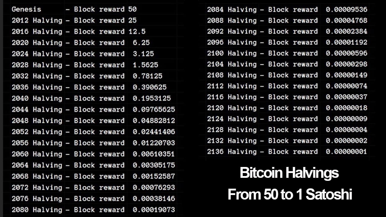 Charting Bitcoin's Predictable Course: A Comprehensive Review of the Next 29 Reward Halvings