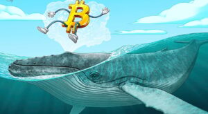 Bitcoin whale exchange inflow share hits 1-year high — over 40%