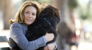 Die 11 besten Hundefilme: Unsere Bestenliste für Hunde-Liebhaber