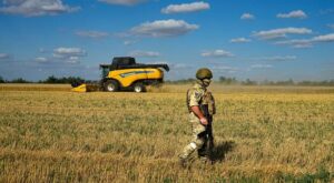 Russlands Feldzug : „Die Ukraine braucht den Seeweg dringend“ – Was das Ende des Getreidedeals bedeutet