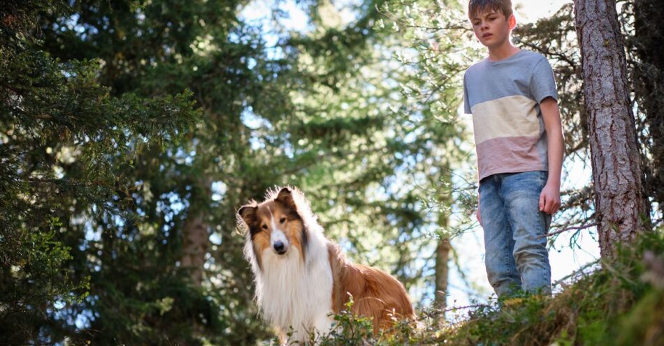 Lassie – Ein neues Abenteuer