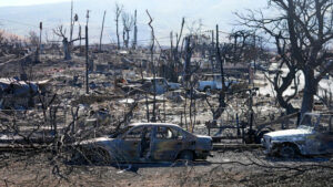 USA: Immer mehr Feuer unter Kontrolle auf Maui - Zahl der Toten steigt auf 96