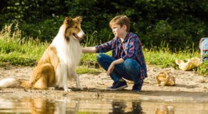 „Lassie 3“: Wird die Filmreihe fortgesetzt?