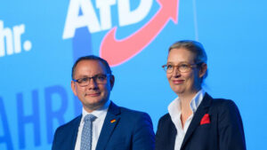 AfD: Wie Ökonomen die Vorschläge der AfD bewerten