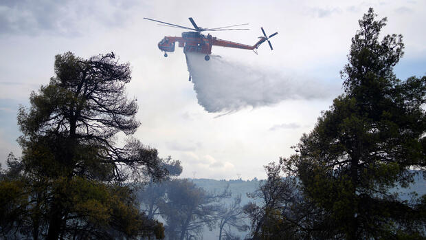 Katastrophe: Waldbrand in Griechenland lässt langsam nach