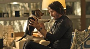 Teuerster Hundehaufen der Filmgeschichte: Darum zahlte „John Wick“ 5.000 Dollar für Kot