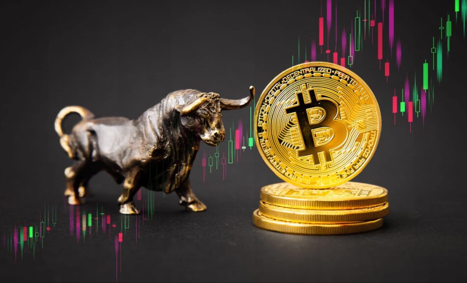 Bitcoin Bullrun