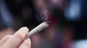 Drogenpolitik : Bundestag stimmt für Cannabis-Legalisierung – das ist dran an der Kritik
