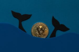 Krypto-Wale tauchen ab: Worauf lauern Bitcoin-Großinvestoren?