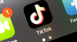 Social Media: Tiktok geht gegen Europa-Spitzenkandidaten der AfD vor