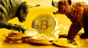 Bitcoin bull and bear