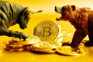 Bitcoin bull and bear