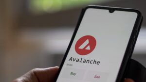 Avalanche: Das sind die größten Memecoins der Blockchain