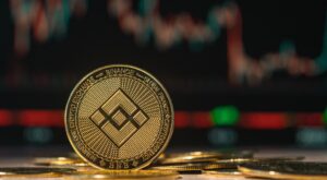 Binance Coin (BNB)