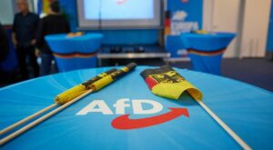 Europawahlen: Historikerin warnt vor Überhöhung der AfD nach Europawahl