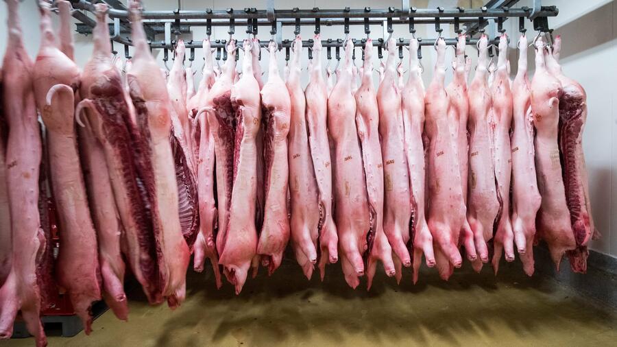 Handelsstreit: China kündigt Anti-Dumping-Untersuchung gegen Schweinefleisch aus Europa an